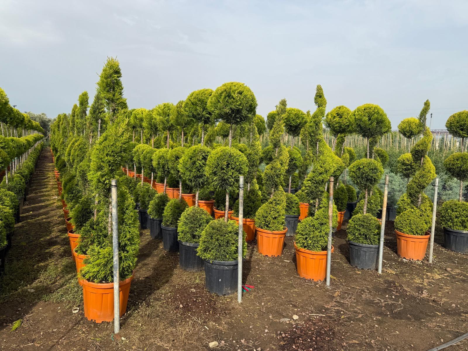 Sürdürülebilir Çözümler